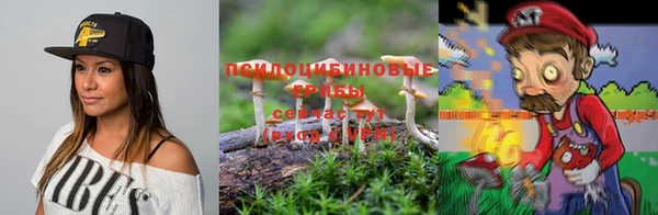 МДПВ Лиски