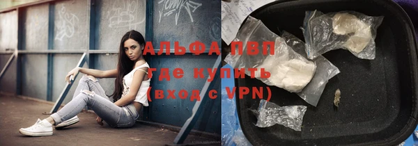 винт Липки