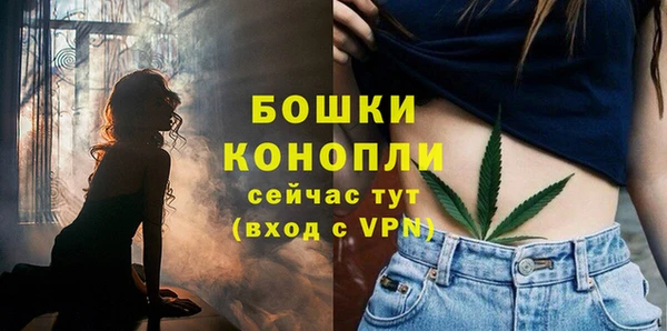 МДПВ Лиски