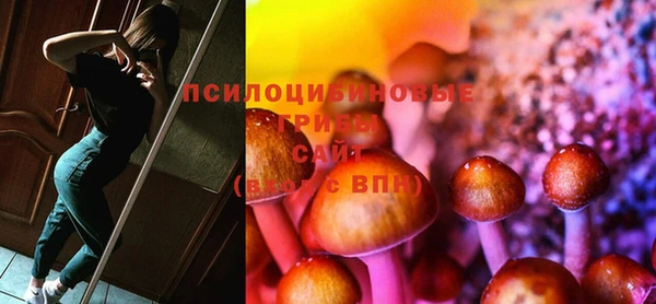 винт Липки
