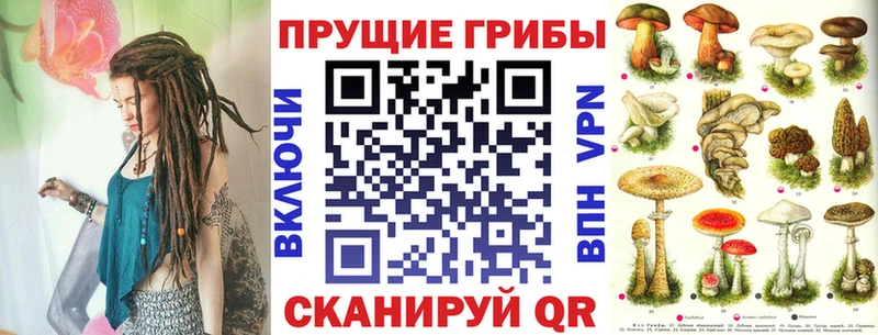 Псилоцибиновые грибы GOLDEN TEACHER  Купить  Альметьевск 
